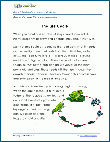 Grade 3 Children's Story - Life cycles