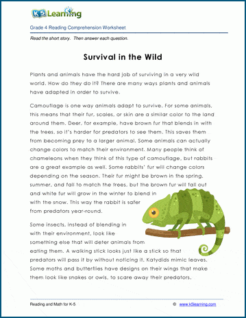 Grade 4 Children's Story - Survival in the Wild