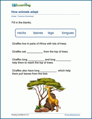 Animal adaptation worksheets for grade 1