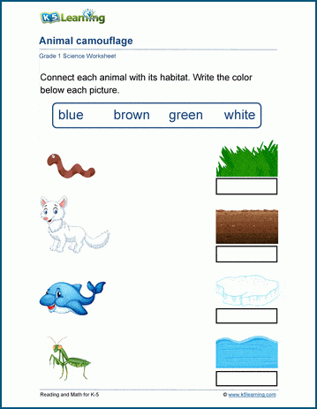 Animal Camouflage Worksheet | K5 Learning