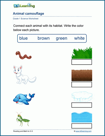 Animal camouflage worksheets