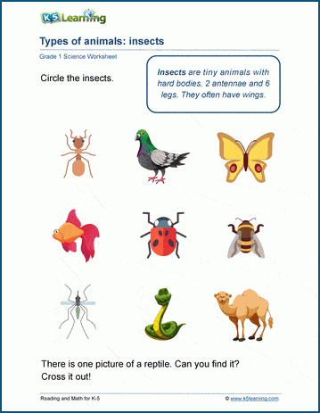 animal classification worksheets k5 learning