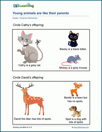 Inherited traits of animals worksheets