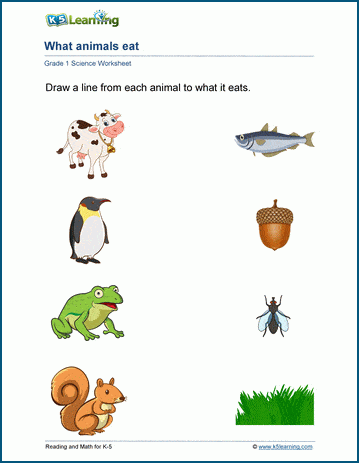What Animals Eat Worksheet | K5 Learning