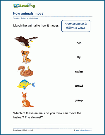 How animals move worksheets