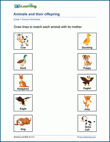 Animals and their offspring worksheets