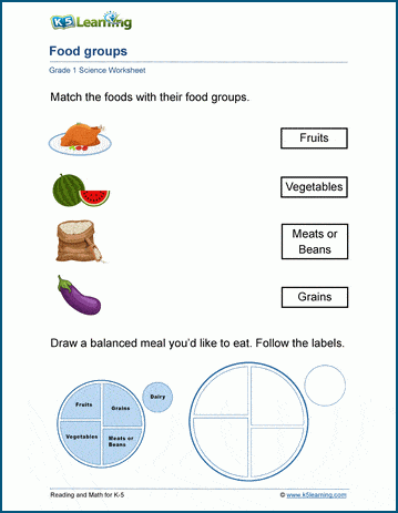 Food Groups worksheets