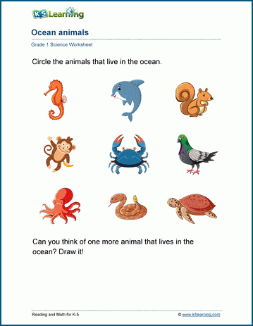 Animals and their Habitats worksheets