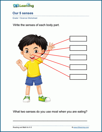 5 senses worksheet k5 learning