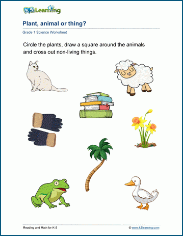 Plant, animal or thing worksheet | K5 Learning