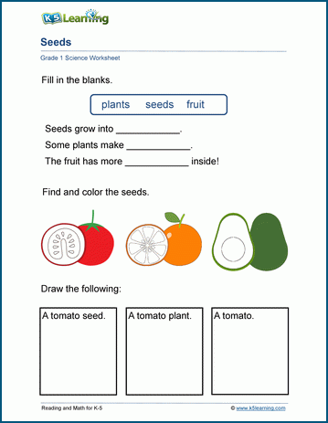 Grade 1 Science Worksheets K5 Learning