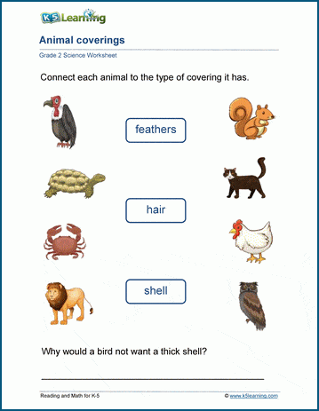 Animal coverings worksheets for grade 2