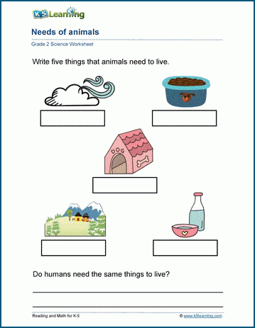 Animal Needs Worksheets | K5 Learning