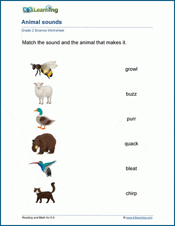 Grade 2 sounds of animals worksheets
