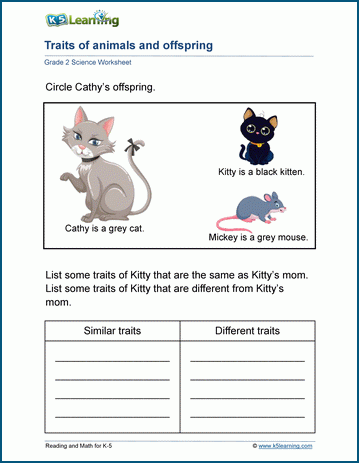 Inherited traits worksheets