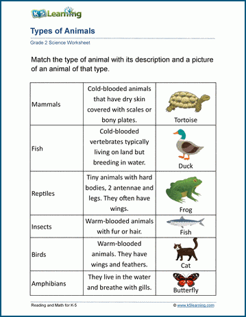 Types of animals worksheets for grade 2