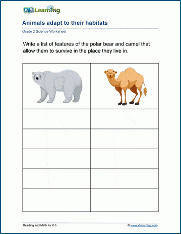 adapting to habitats worksheets k5 learning