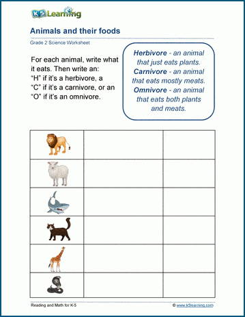 Grade 2 animals and their food worksheets