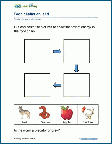Food chains worksheets for grade 2