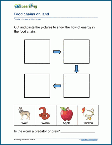 land food chains