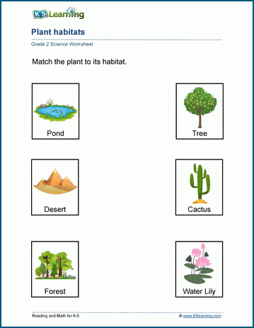 Plant habitats worksheets