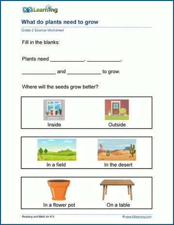 plant needs worksheets k5 learning