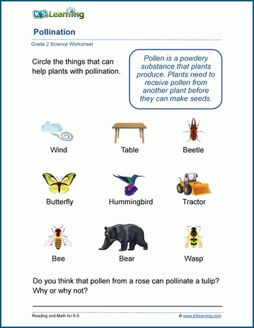 Science worksheets for grade 2 students | K5 Learning