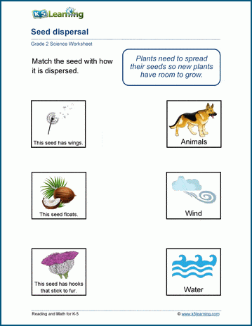 Seed Dispersal Worksheets | K5 Learning