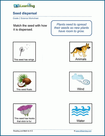 seed dispersal worksheets k5 learning