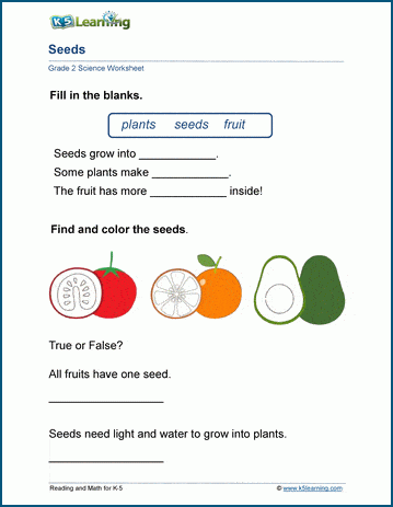 Plant seeds worksheets