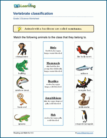 animal classification worksheets k5 learning