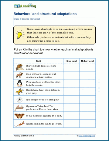 Behavioral Adaptations Worksheets | K5 Learning