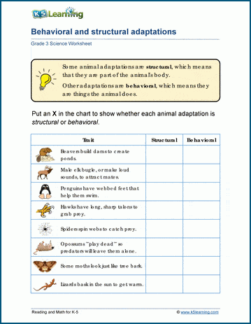 Behavioral adaptations worksheets