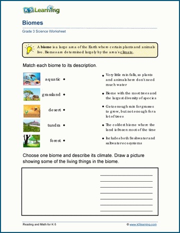 Earth's biomes worksheets