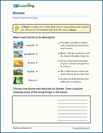 Earth's Biomes Worksheets | K5 Learning