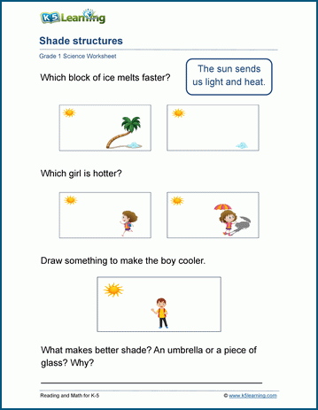 class 5 science worksheets pdf
