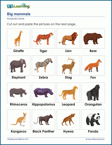 Animal words & vocabulary cards | K5 Learning