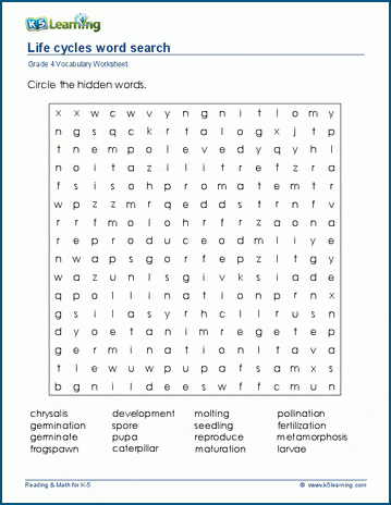 Grade 4 word search: Life cycles word search