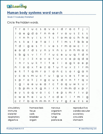 Grade 5 word search: Human body systems word search